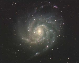 M101