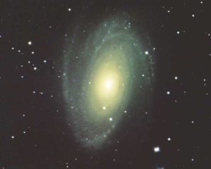 M81