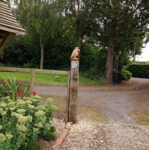 Big Bird Gatepost